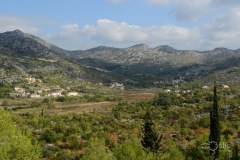 Ošlje