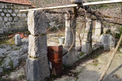 ziva_06
